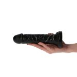 Dildo- Camillo Black - obrazek 6