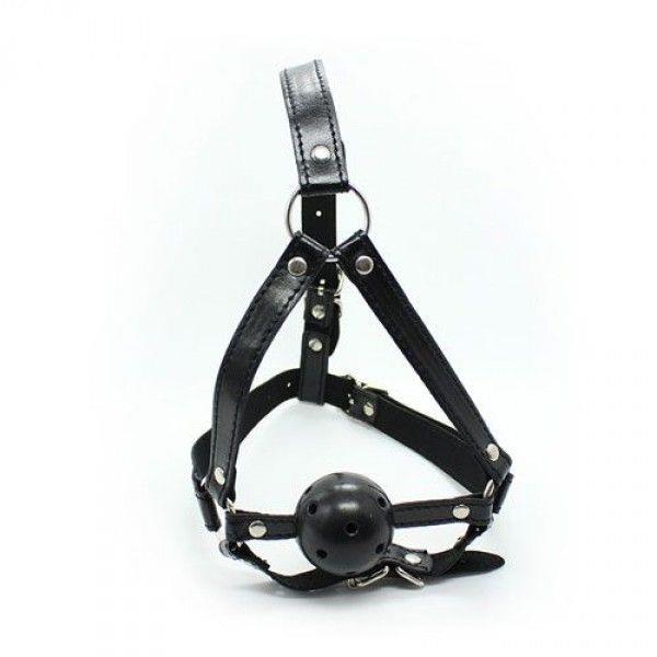 1-00904265 Knebel-Imbracatura Viso con morso Head Harness+Ball Gag - obrazek 1