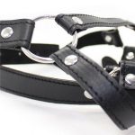 Knebel-Imbracatura per testa con anello Head Harness+Ring Gag - obrazek 3