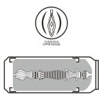 Pleasure Brew Masturbator-Blond Ale - obrazek 10