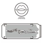 Pleasure Brew Masturbator-Cream Ale - obrazek 8