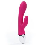Dreamer Rechargeable Vibrator - obrazek 2