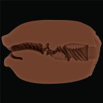 Slider Double-Ended Masturbator Mouth and Vagina - obrazek 8