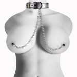 Metallic Silver Collar With Nipple Clamp - obrazek 3
