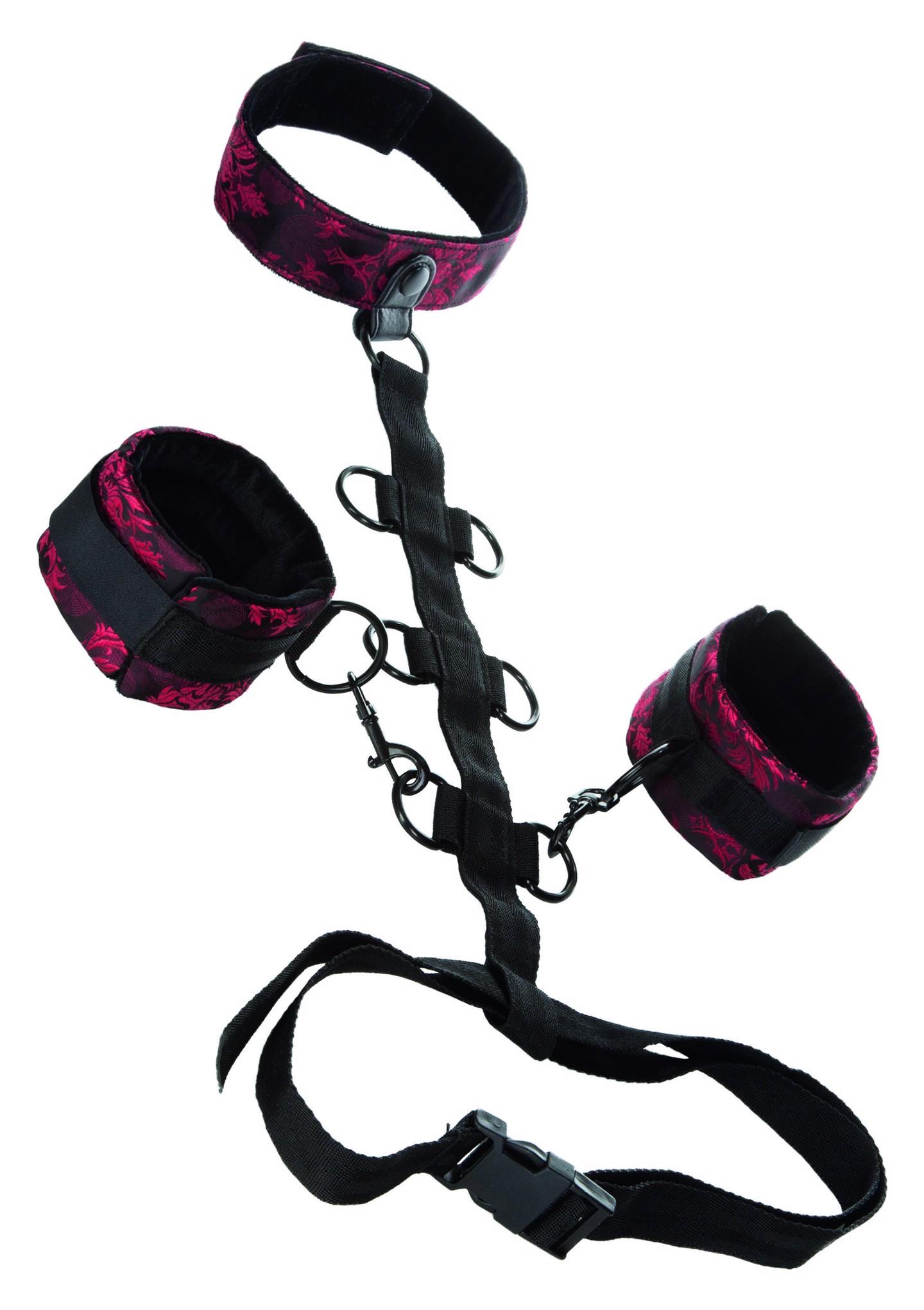 13024_BLACK_01 Scandal Collar Body Restraint Black - obrazek 1