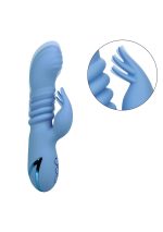 Santa Cruz Coaster Blue - obrazek 4