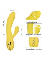 San Diego Seduction Yellow - obrazek 3