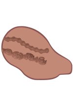 Big Ass Banger Vibr. Brown skin tone - obrazek 6