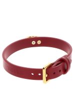 O-Ring Collar Red - obrazek 6