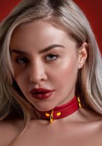 D-Ring Collar Deluxe Red - obrazek 3
