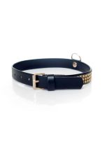 Fetish B - Series Collar with crystals 2 cm gold - obrazek 3