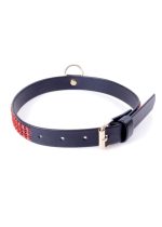 Fetish B - Series Collar with crystals 2 cm Red Line - obrazek 3
