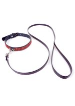 Fetish B -  Series Leash Red Line - obrazek 3