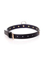Fetish B - Series - Collar 2 cm gold crystal - obrazek 2