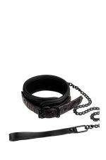 BLAZE COLLAR AND LEASH PURPLE - obrazek 2