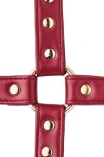 BLAZE ELITE HOGTIE RED - obrazek 4