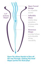 ANAL FANTASY ELITE MEGA ANAL GAPER CLEAR - obrazek 4