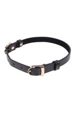 SEX AND MISCHIEF DOUBLE BUCKLE DAY COLLAR - obrazek 4
