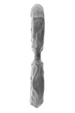 SHAFT DOUBLE C-RING SMALL GRAY - obrazek 4