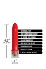 HAPPY ENDING PLEASURE PACKAGE I DIDN'T KNOW YOUR SIZE 4" MULTI-SPEED VIBE - obrazek 4