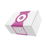 FEM.Pack N.2 Daily Routine - obrazek 3