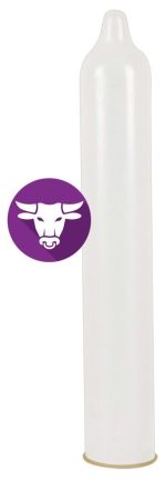 Secura El Toro pack of 24 - obrazek 2