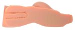PDX Plus Perfect 10 Torso Ligh - obrazek 4