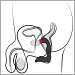 Rebel Prostate Plug recharge - obrazek 8