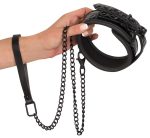 Collar with Leash - obrazek 3
