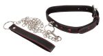 Collar and Leash - obrazek 2