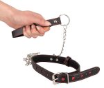 Collar and Leash - obrazek 3