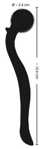 Fetish Collection Micro Pinwhe - obrazek 8