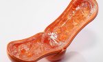 Tenga Flip Orb Sunset Orange - obrazek 3