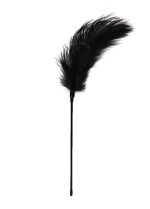 Pejcz-Black Feather Tickler - obrazek 2