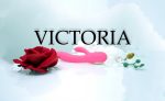 Wibrator-Silicone Vibrator USB 7 Function + Booster / Heating - obrazek 6