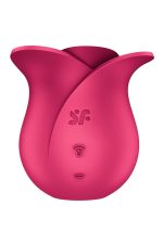 Pro 2 Modern Rose - obrazek 4