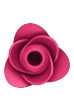 Pro 2 Modern Rose - obrazek 5