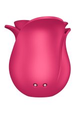 Pro 2 Modern Rose - obrazek 6