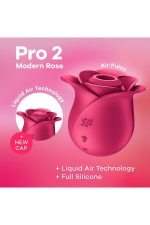 Pro 2 Modern Rose - obrazek 7