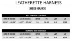 LEATHERETTE HARNESS CURIOUS - obrazek 11