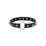 Adjustable collar with spikes