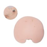 BAILE -REALISTIC VAGINA AND ASS, Vibration Rotation Heating function Sex talk - obrazek 3