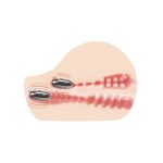 BAILE -  Masturbator Functions of Vibration - obrazek 7