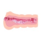 CRAZY BULL- REALISTIC 3D VAGINA, Water lubricant - obrazek 4