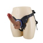 Pretty Love Wells 6.3" Silicone Dildo with Harness Briefs - obrazek 3